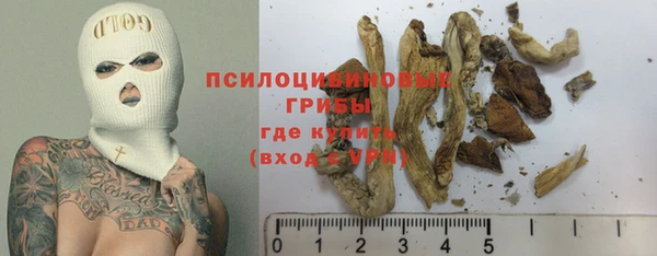 прущий лед Армянск