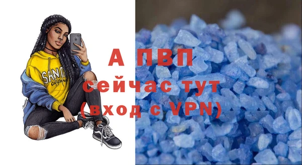 ECSTASY Семикаракорск
