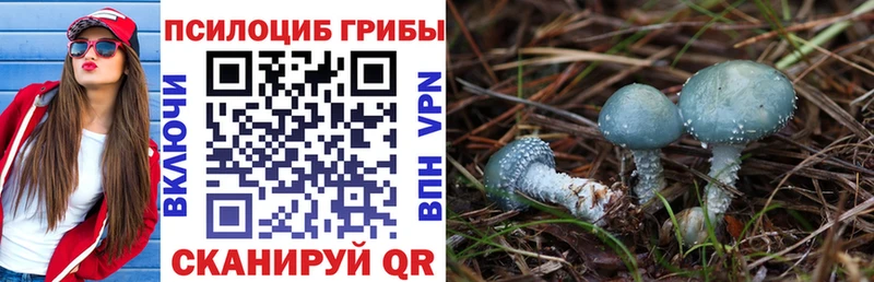 Галлюциногенные грибы ЛСД  Вятские Поляны 